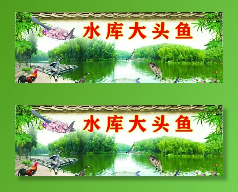 水库大头鱼图片cdr矢量模版下载