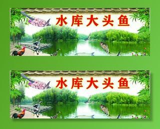 水库大头鱼图片