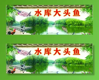 水库大头鱼图片