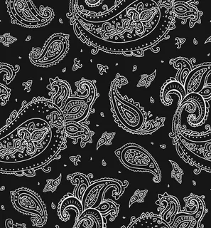 腰果花图片 腰果花图片