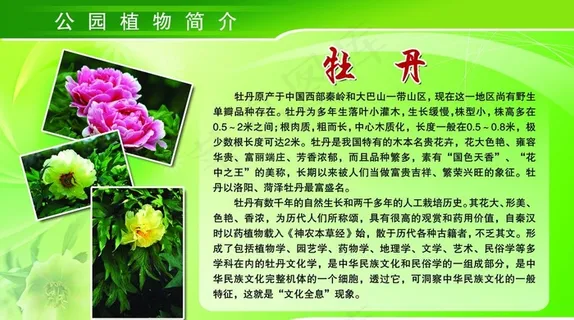 公园植物简介图片