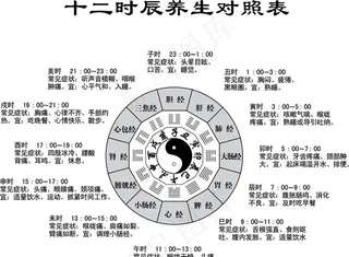 十二时辰养生对照表图片