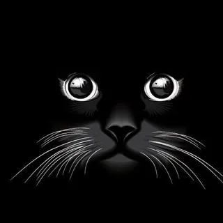可爱的小猫图片 可爱的小猫图片