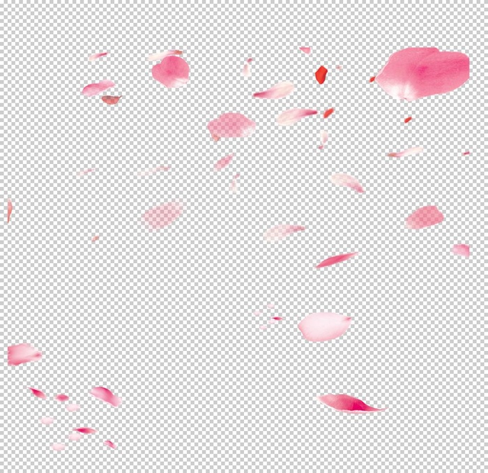 飘落的花瓣图片