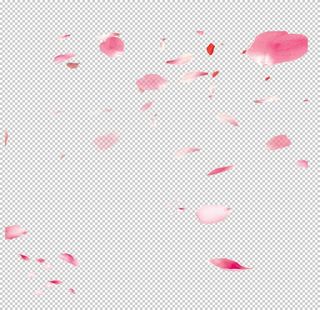 飘落的花瓣图片