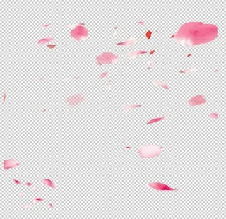 飘落的花瓣图片