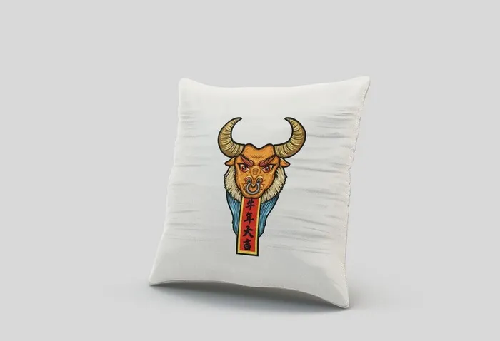 抱枕样机图片(3500x2500)psd模版下载