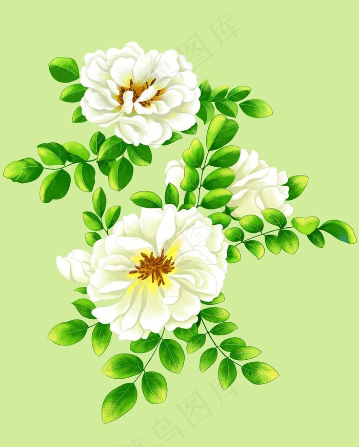 栀子花图片(4724X6068(DPI:300))psd模版下载