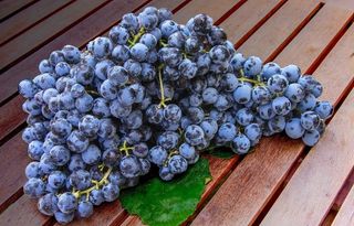 精美水果摄影蓝莓图片