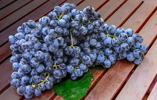 精美水果摄影蓝莓图片