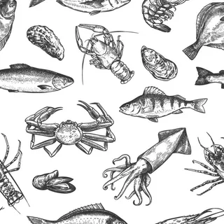海鲜手绘图片