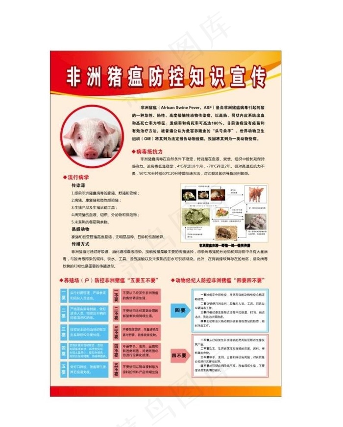 非洲猪瘟防控知识图片
