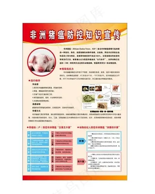 非洲猪瘟防控知识图片