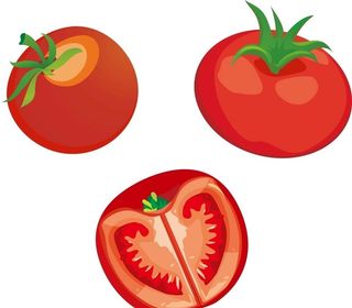 番茄西红柿图片
