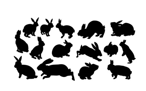 兔子剪影 图片