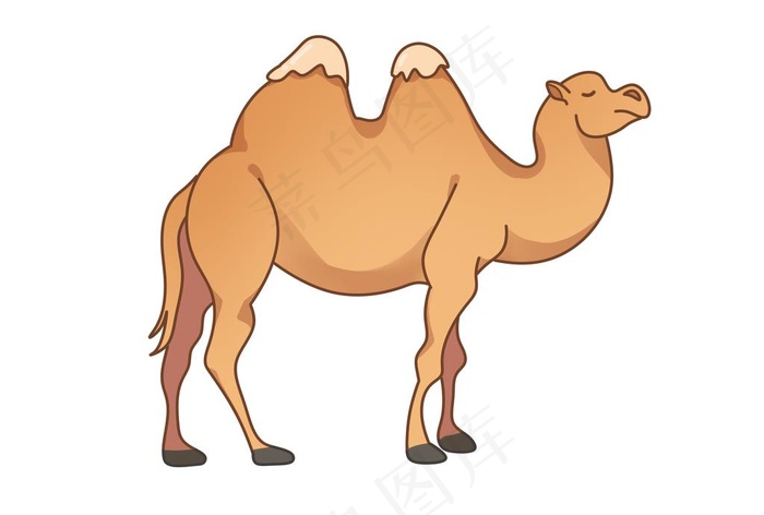 骆驼图片