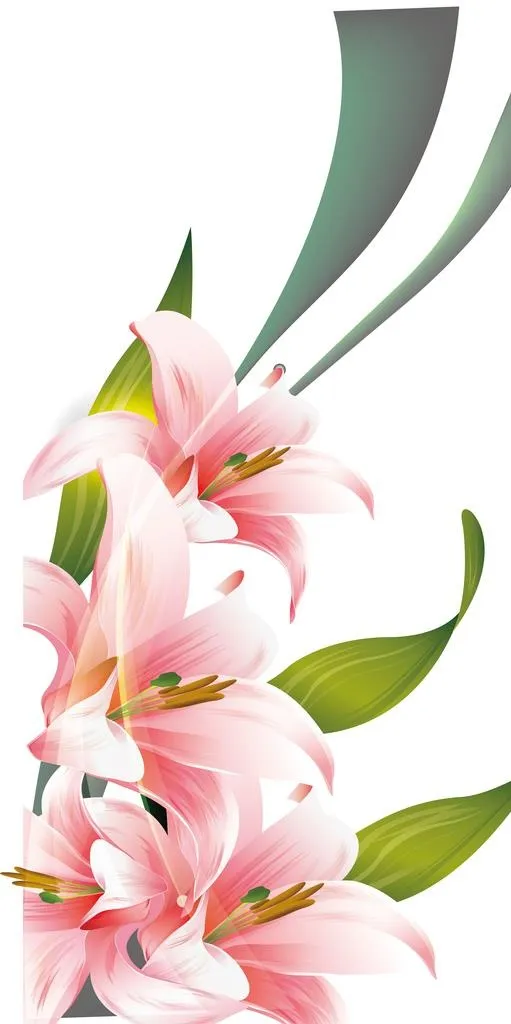 百合花图片