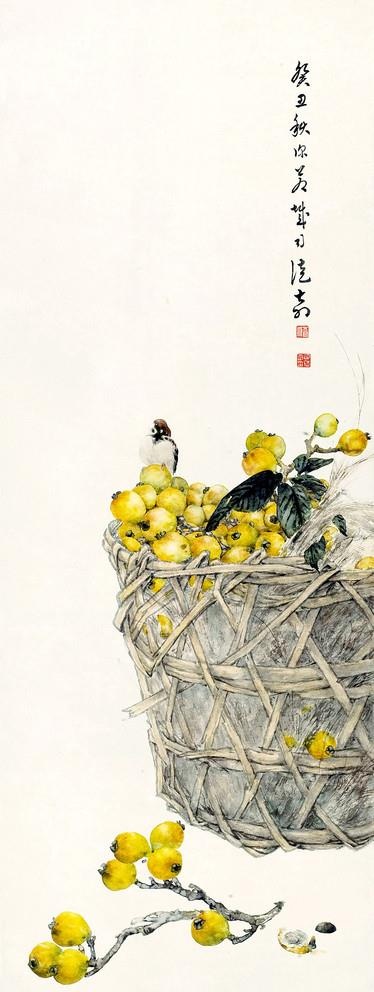 枇杷图图片