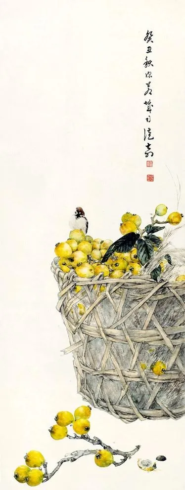 枇杷图图片