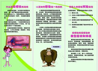 埃博拉病毒宣传折页正图片