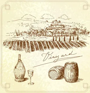 手绘红酒瓶标矢量素材图片