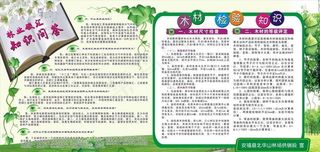 林业模板图片