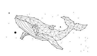 鲸鱼矢量图图片