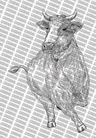 素描牛图片