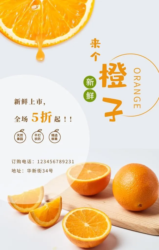 橙子图片(3543x5315)psd模版下载