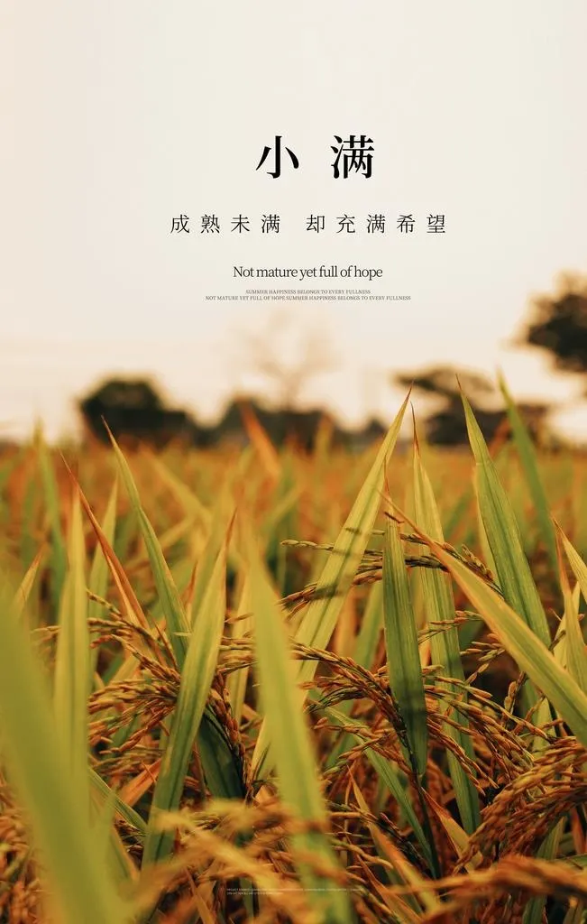 小满图片(3543x5315)psd模版下载