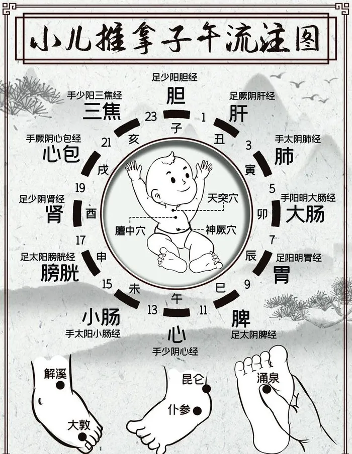 小儿推拿子午流注图图片(5400x7200)psd模版下载