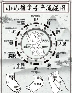 小儿推拿子午流注图图片