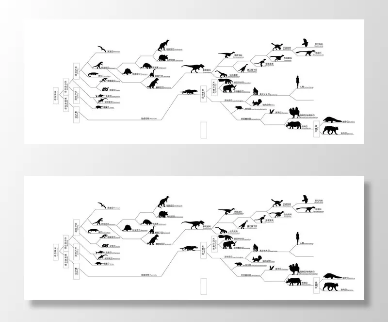 恐龙物种图片ai矢量模版下载