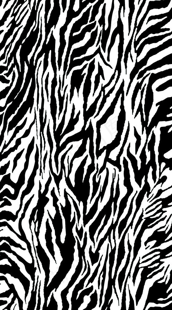 斑马纹图片