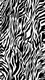 斑马纹图片