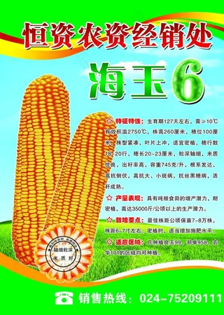 玉米种业海报图片