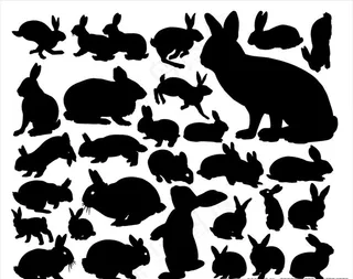 矢量兔子剪影合集图片