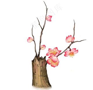 梅花素材图片