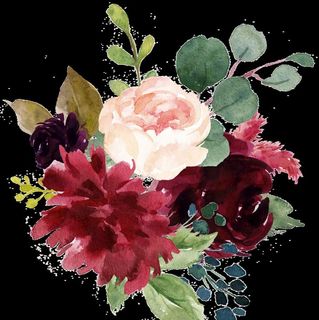 水彩花 免扣 PNG图片