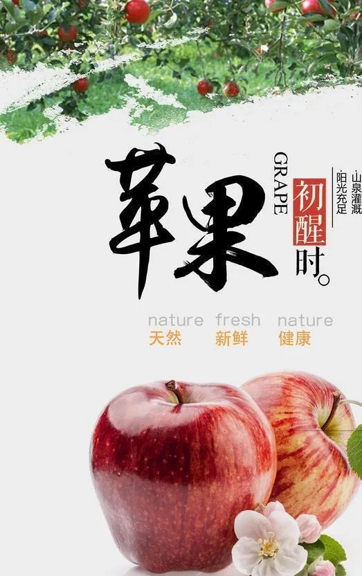 苹果图片(3543x5315)psd模版下载