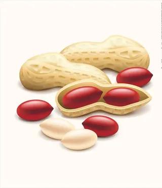 卡通零食美食图片