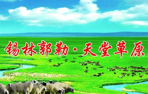 草原  九曲湾  锡盟羊图片