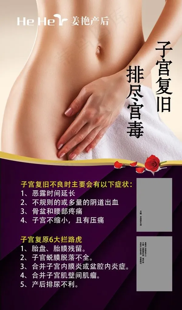 子宫复旧图片(1909x3091)psd模版下载