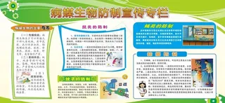 病媒生物防治宣传展板图片