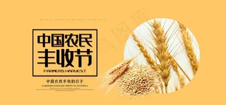 丰收节图片