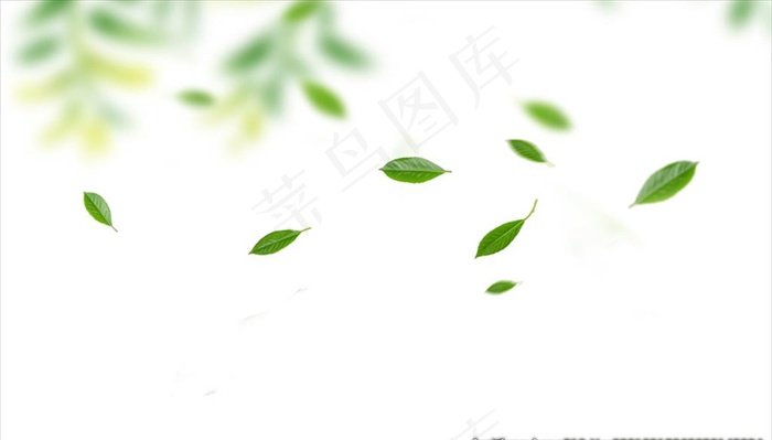 漂浮树叶图片(5000X3000(DPI:50))psd模版下载