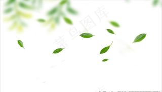 漂浮树叶图片