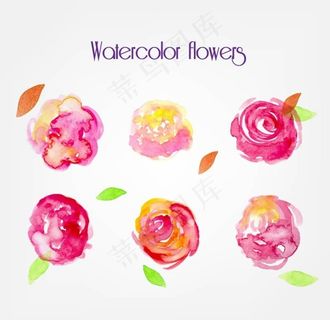玫瑰水彩图片