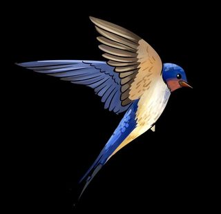 手绘春天燕子素材图片