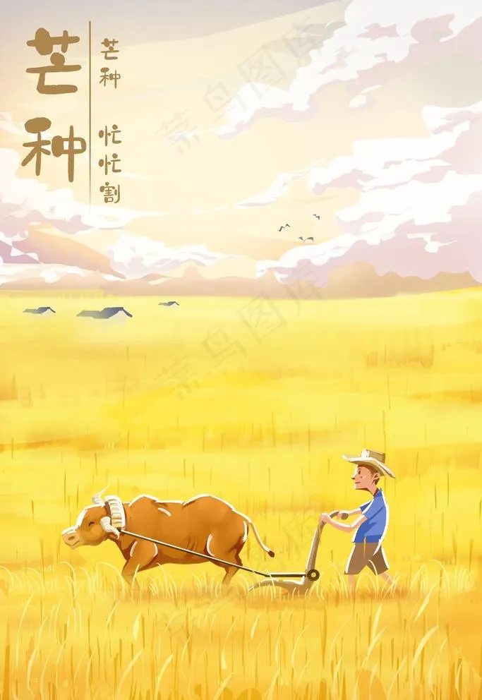 芒种插画图片(1701x2551)psd模版下载